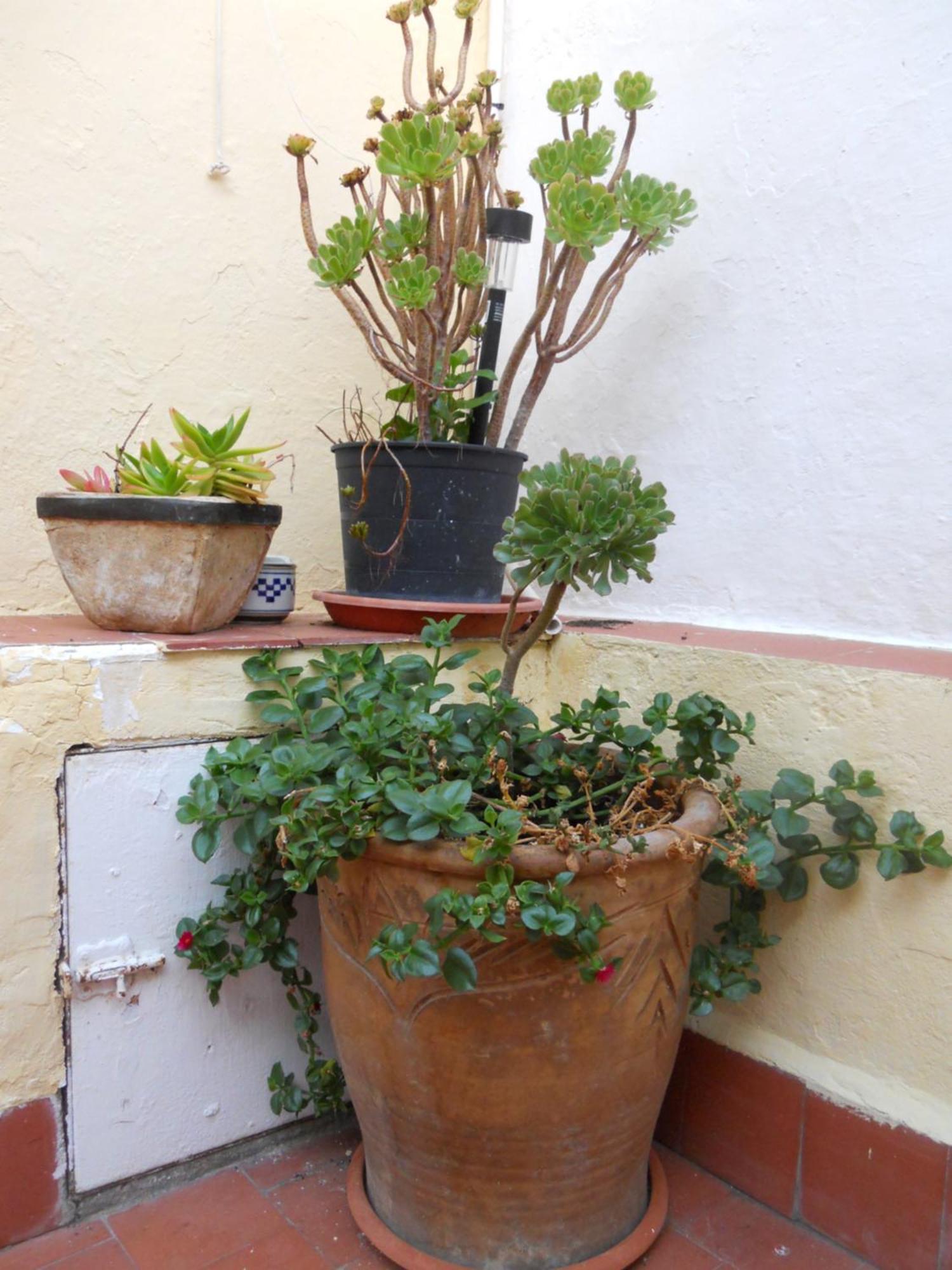Naturalia: La Casita Con Patio Caces Εξωτερικό φωτογραφία